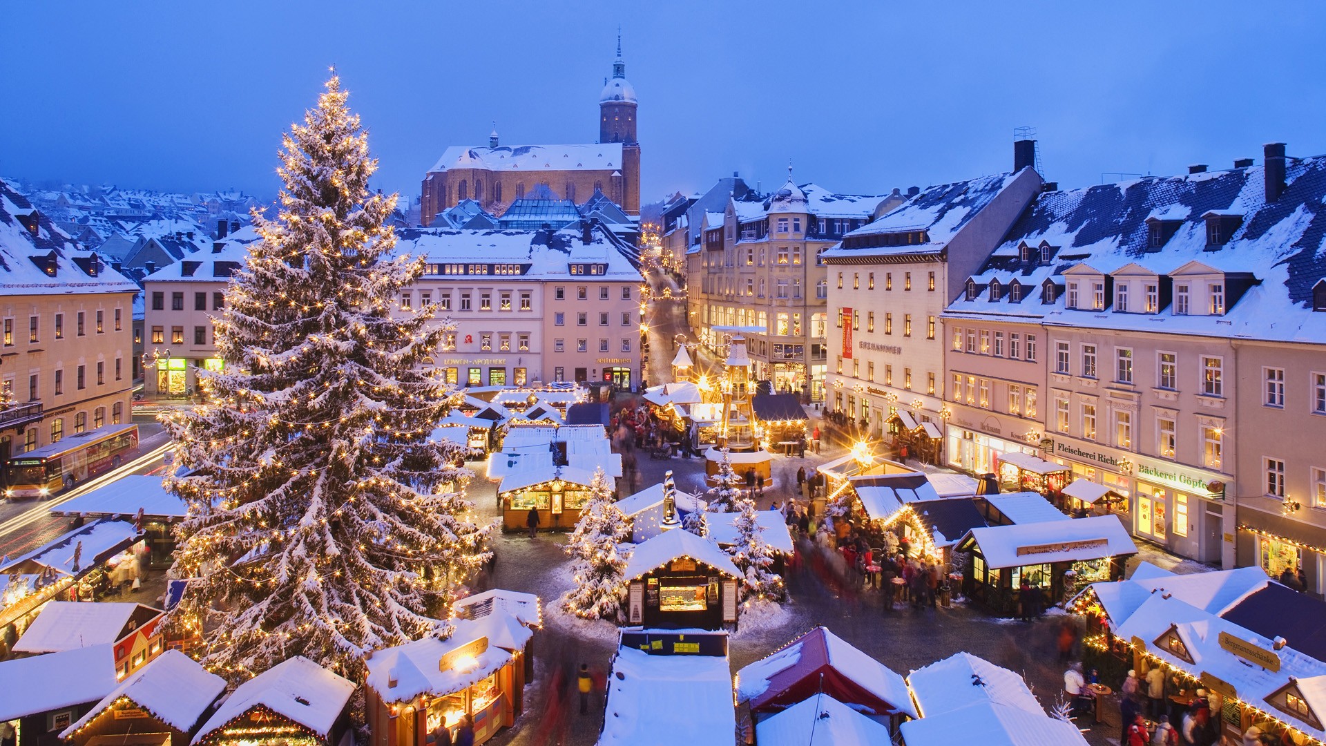 christmas trees in germany